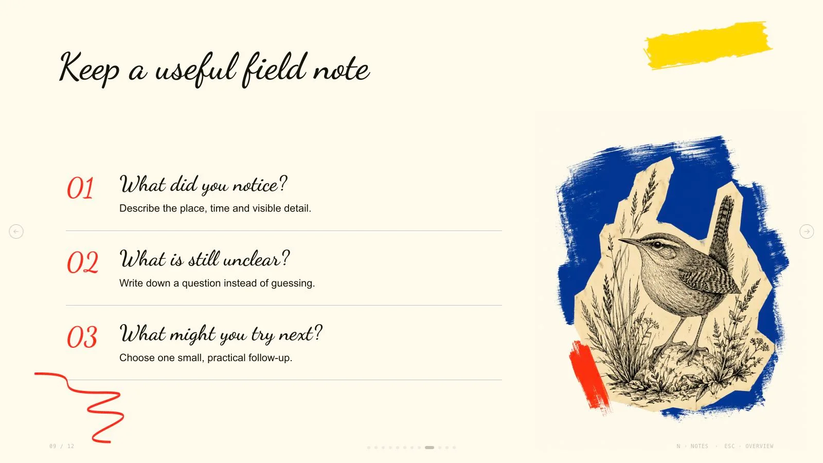 Brush Paper Deck result preview 10
